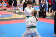 ABiRO-WraCUP-2024-069
