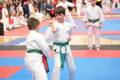 ABiRO-WraCUP-2024-071