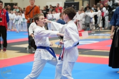 ABiRO-WraCUP-2024-073
