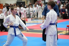 ABiRO-WraCUP-2024-074