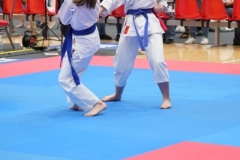 ABiRO-WraCUP-2024-077