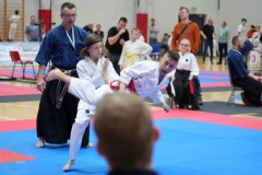 ABiRO-WraCUP-2024-078
