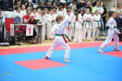 ABiRO-WraCUP-2024-079
