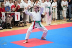 ABiRO-WraCUP-2024-081