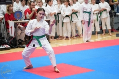 ABiRO-WraCUP-2024-082