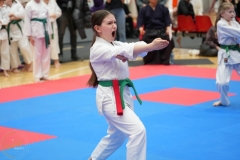 ABiRO-WraCUP-2024-083