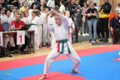 ABiRO-WraCUP-2024-084