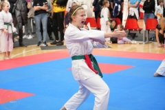 ABiRO-WraCUP-2024-085