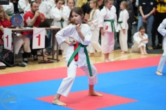 ABiRO-WraCUP-2024-086