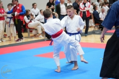ABiRO-WraCUP-2024-088