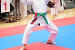 ABiRO-WraCUP-2024-089