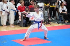 ABiRO-WraCUP-2024-091