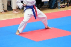 ABiRO-WraCUP-2024-092