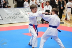 ABiRO-WraCUP-2024-093