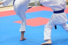 ABiRO-WraCUP-2024-094