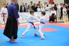 ABiRO-WraCUP-2024-095