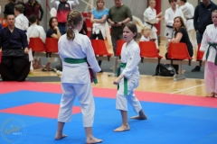 ABiRO-WraCUP-2024-096