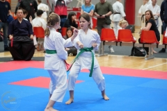 ABiRO-WraCUP-2024-097