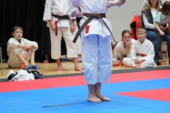 ABiRO-WraCUP-2024-098