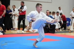 ABiRO-WraCUP-2024-099