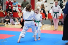 ABiRO-WraCUP-2024-100