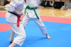 ABiRO-WraCUP-2024-101