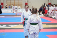 ABiRO-WraCUP-2024-103