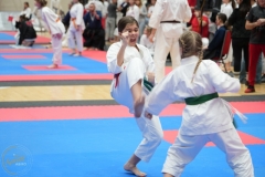 ABiRO-WraCUP-2024-104