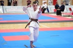 ABiRO-WraCUP-2024-105