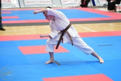 ABiRO-WraCUP-2024-106