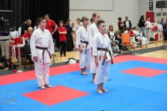 ABiRO-WraCUP-2024-108