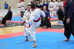 ABiRO-WraCUP-2024-109