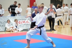ABiRO-WraCUP-2024-112