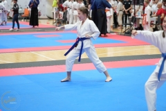 ABiRO-WraCUP-2024-113