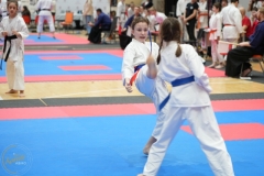 ABiRO-WraCUP-2024-114