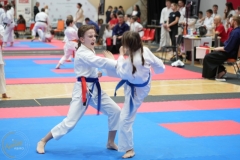 ABiRO-WraCUP-2024-115