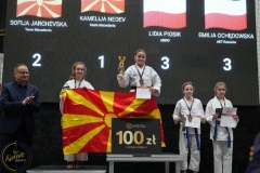 ABiRO-WraCUP-2024-117