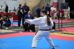 ABiRO-WraCUP-2024-119