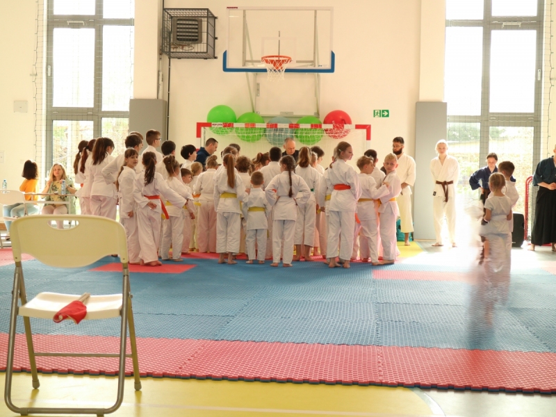 ABiRO-IIToPDSP-2024-04