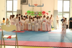 ABiRO-IIToPDSP-2024-04
