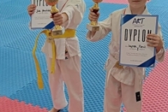 ABiRO-IIToPDSP-2024-31
