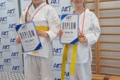 ABiRO-IIToPDSP-2024-34