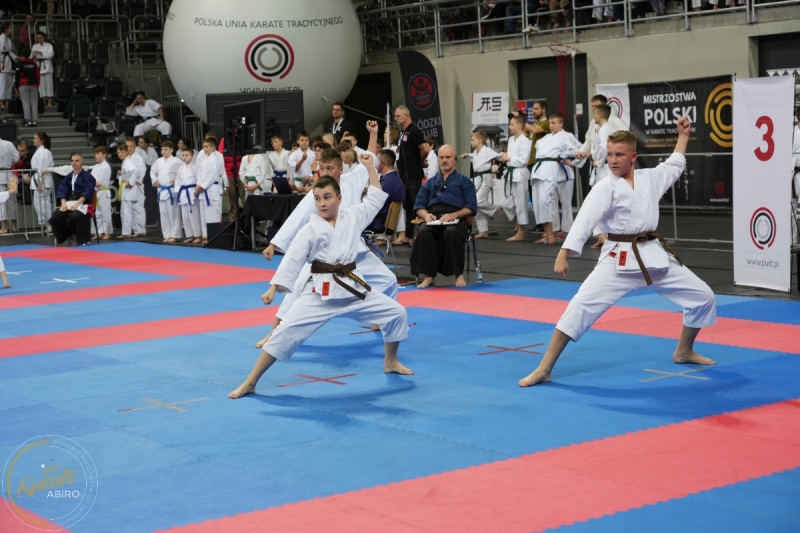 ABiRO-MP-2024-033