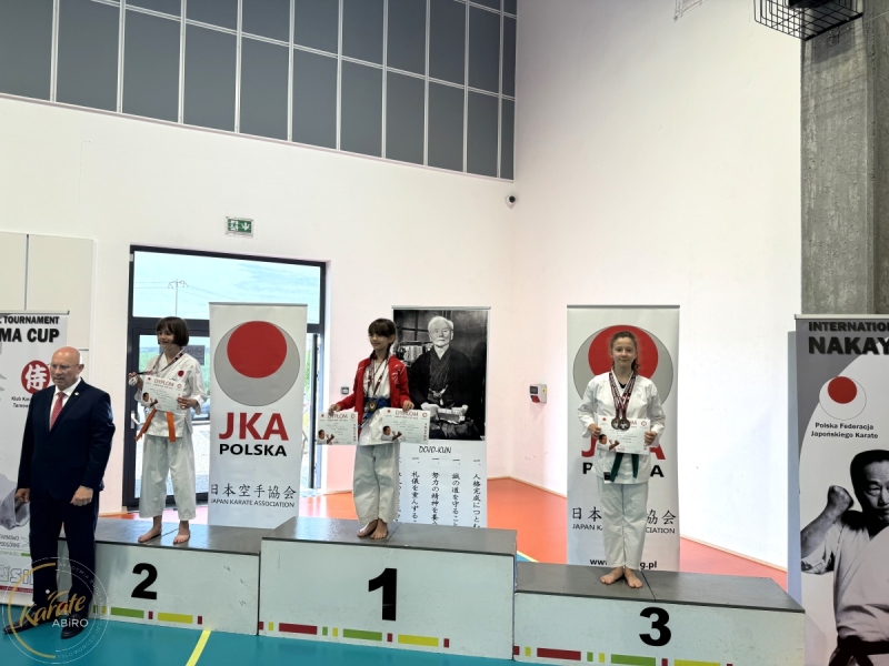 ABiRO-NCUP-JKA-2024-14