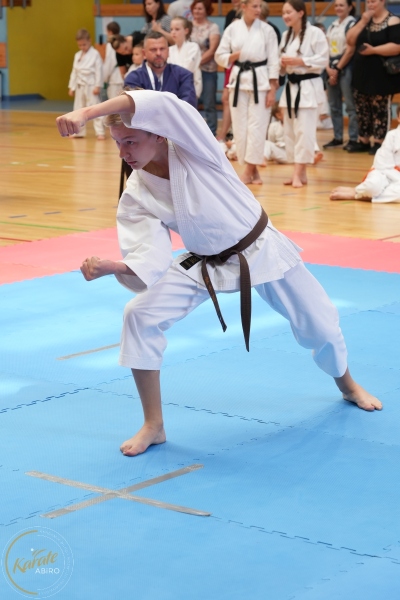 ABiRO-SCUP-03
