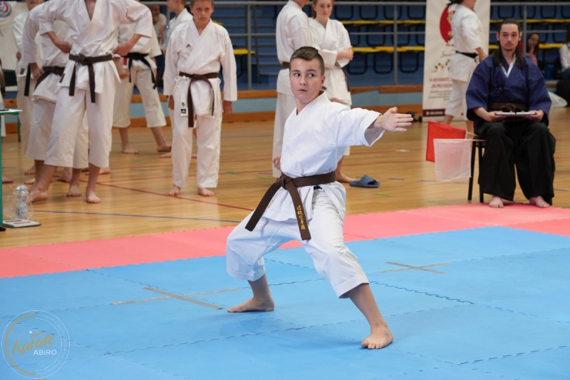 ABiRO-SCUP-04