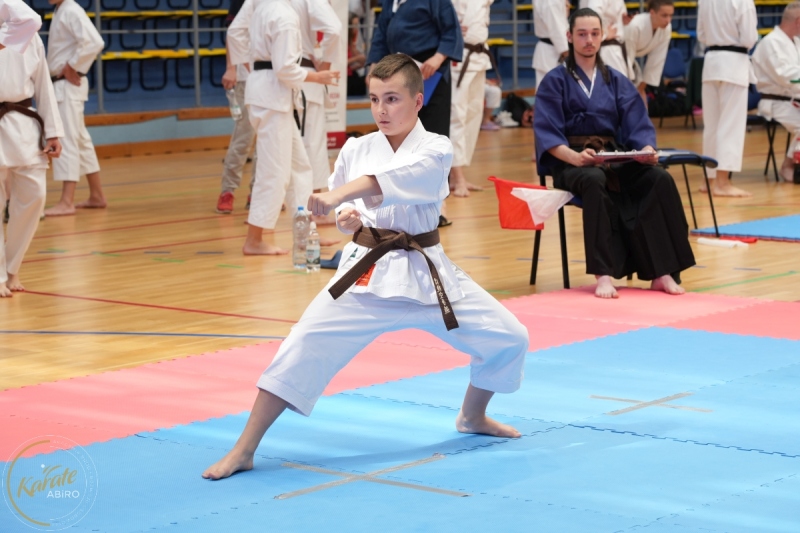 ABiRO-SCUP-05