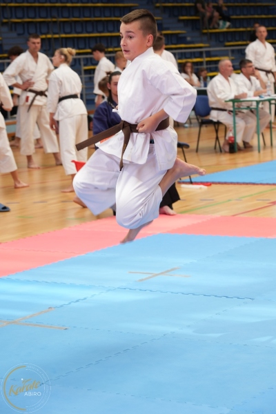 ABiRO-SCUP-06
