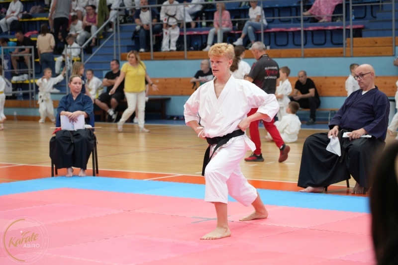 ABiRO-SCUP-08