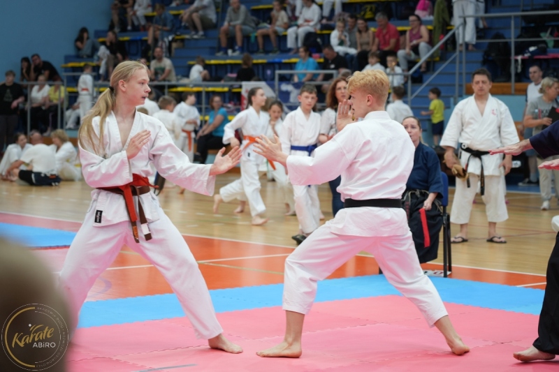 ABiRO-SCUP-10